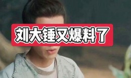 娱乐圈爆料大锤小说